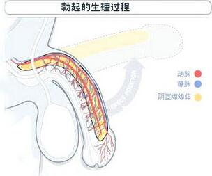 쳣پ